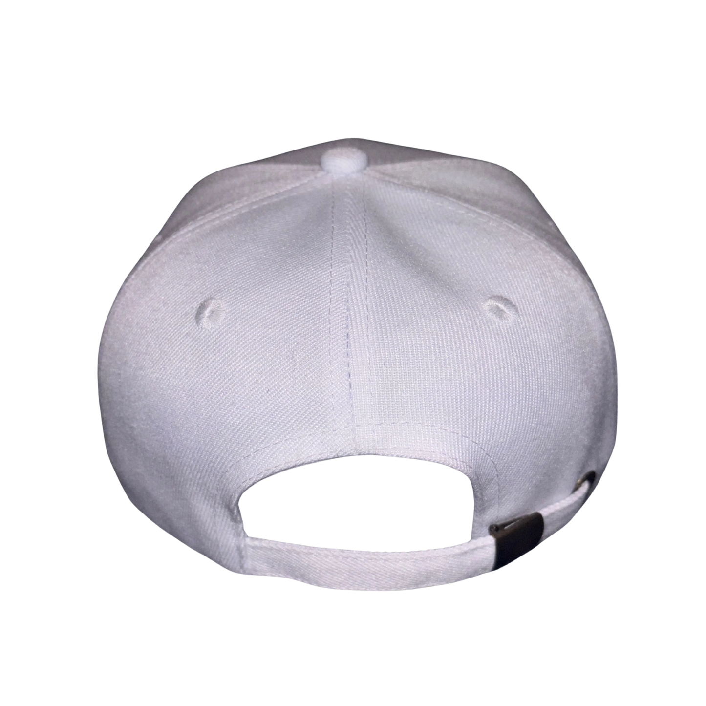 noah-the one who survived on the flood white snapback cap Holy Kingdom