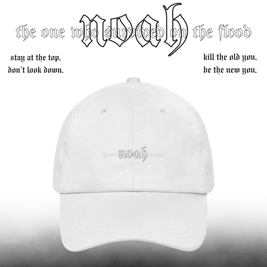 【noah—the one who survived on the flood】cap