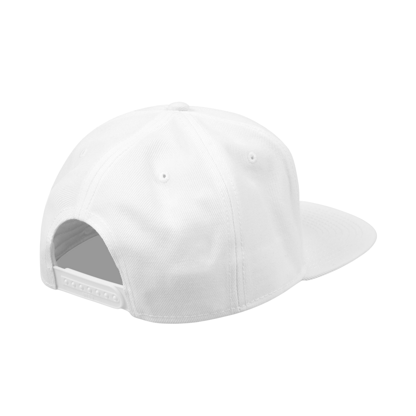 noah the one who survived on the flood White Snapback Cap 